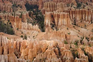 Utah, United States Of America; The Needles Of Bryce Canyon Utah, United States Of America; The Needles Of Bryce Canyon