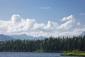 View Of The Alaska Range From Byers Lake, Summer, Denali State Park, Southcentral Alaska View Of The Alaska Range From Byers Lake, Summer, Denali State Park, Southcentral Alaska