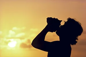 Side View Of Conch Shell Blower On Cliff, Silhouetted At Sunset, Pink Golden Skies Side View Of Conch Shell Blower On Cliff, Silhouetted At Sunset, Pink Golden Skies