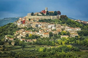 Vitis Gallery: Vineyards surrounding the hilltop medieval town of Motovun, Istria, Croatia
