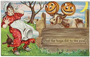 Images Dated 20th September 2004: Vintage Halloween Greeting Card With Cow With Jack-O-Lanterns On Horns From 20th Century