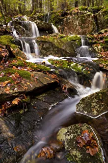 Waterfall And Brook In A Forest In Late Autumn; Bedford, Nova Scotia, Canada Waterfall And Brook In A Forest In Late Autumn; Bedford, Nova Scotia, Canada
