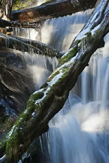Images Dated 25th February 2012: Waterfall With Ice In The Rainforest Along The Herring Cove Trail, Near Sitka; Alaska