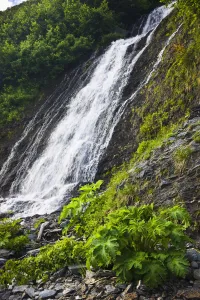 Waterfall In Shoup Bay State Marine Park, Prince William Sound, Southcentral Alaska, Summer Waterfall In Shoup Bay State Marine Park, Prince William Sound, Southcentral Alaska, Summer