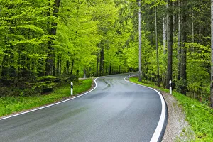 Winding road through forest in spring with lush green foliage. Bavaria, Germany Winding road through forest in spring with lush green foliage. Bavaria, Germany