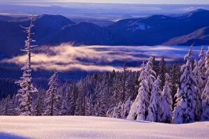Images Dated 21st November 2007: Winter Snow, Cascade Range, Oregon, Usa