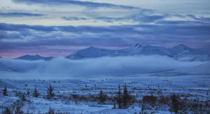 Winter Sunrise Along The Dempster Highway; Yukon, Canada Winter Sunrise Along The Dempster Highway; Yukon, Canada