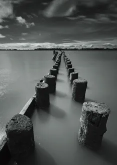 Wooden posts leading out into the river; Vancouver british columbia canada Wooden posts leading out into the river; Vancouver british columbia canada