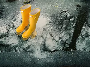 Yellow rubber boots in a rain puddle