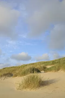 Landschap Noord-Holland Gallery: Dunes at the Dutch coast under a sky full with clouds, The Netherlands, Noord-Holland