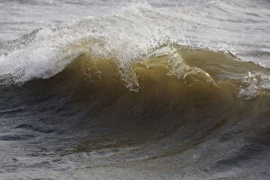 Landschap Noord-Holland Gallery: Incoming waves just before breaking on beach, The Netherlands, Noord-Holland