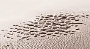 Deel de Natuur Gallery: Patterns in the sand