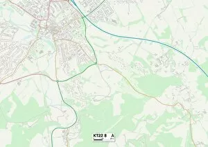 Mole Valley KT22 8 Map