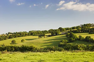 Meadow, view across typical english landscape with blue sky Meadow, view across typical english landscape with blue sky