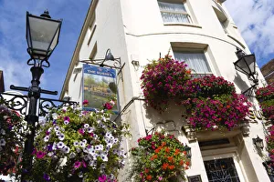 Petunias in Window Boxes - Brighton Print