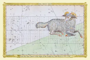What's New: Astronomy, Celestial and Star Charts Collection