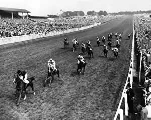Images Dated 10th October 2007: The 1965 Derby was won by the French colt Sea Bird II. The Irish challenger Meadow Court