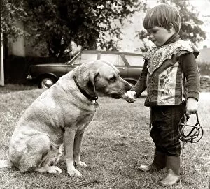 Images Dated 14th July 1970: 2 year old Edward Turner feeding an ice cream to his pet labrador Glen after removing his