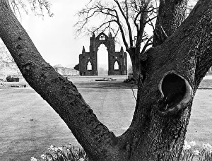 The 98 foot high ruins of the Augustinian Priory Church at Guisborough. 25th April 1975 The 98 foot high ruins of the Augustinian Priory Church at Guisborough. 25th April 1975