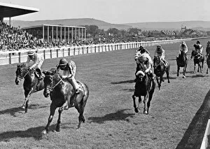 Abercata, ridden by Richard Fox races home to win the Zetland Gold Cup at Redcar