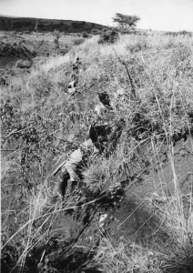 Abyssinian War October 1935 Abyssinian infantry advancing undercover on the Ogaden Abyssinian War October 1935 Abyssinian infantry advancing undercover on the Ogaden