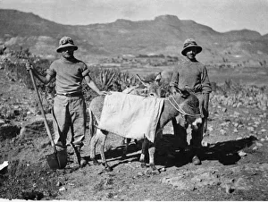 Abyssinian War October 1935 Two Italian soldiers with donkeys carrying water Abyssinian War October 1935 Two Italian soldiers with donkeys carrying water
