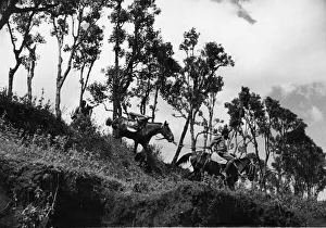 Abyssinian War September 1935 Abyssinian mobile gun team seen here in action Abyssinian War September 1935 Abyssinian mobile gun team seen here in action