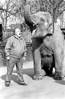 Actor: Roy Kinnear seen here with an elephant at London Zoo. February 1987