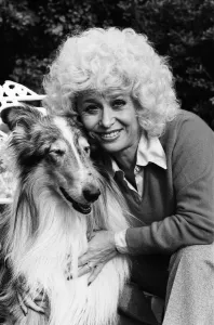 Images Dated 19th October 1980: Actress Barbara Windsor at home. 19th October 1980