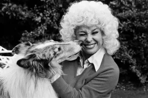 Images Dated 19th October 1980: Actress Barbara Windsor at home. 19th October 1980