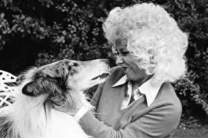 Images Dated 19th October 1980: Actress Barbara Windsor at home. 19th October 1980