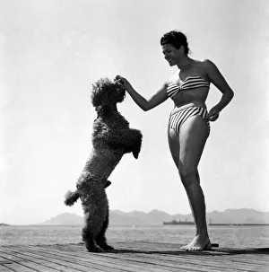 Actress Charlotte Laing seen here with her poodle dog. D3118-023 Actress Charlotte Laing seen here with her poodle dog. D3118-023