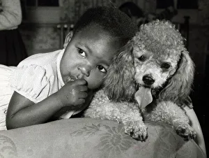 African American child with puppy leaning on dog sucking thumb 1950's African American child with puppy leaning on dog sucking thumb 1950's