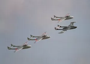 Images Dated 31st August 1993: Aircraft de Havilland Vampire and Venom August 1993, flying in formation at