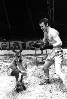 Alan Minter vs The Hopping Aussie Boxing Alan Minter Britain' Alan Minter vs The Hopping Aussie Boxing Alan Minter Britain'