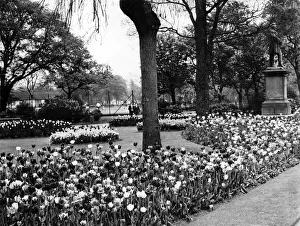 Albert Park, Middlesbrough, North Yorkshire. Circa 1965 Albert Park, Middlesbrough, North Yorkshire. Circa 1965