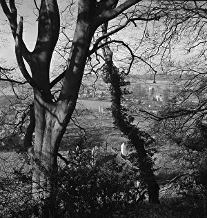 Aldbury Village in Hertfordshire seen through the trees weather seasons winter Outdoors Aldbury Village in Hertfordshire seen through the trees weather seasons winter Outdoors