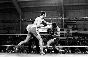 American middleweight boxer Vito Antuofermo in action during the defence of his WBA American middleweight boxer Vito Antuofermo in action during the defence of his WBA