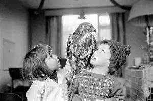 Images Dated 31st December 1970: Animal / pet / unusual. Children with Buzzard. December 1970 71-00012-005