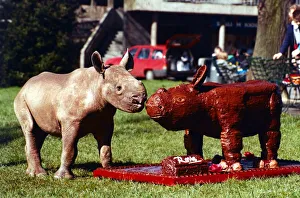 Animals - Black African Rhino next to a life size replica of himself made out of Animals - Black African Rhino next to a life size replica of himself made out of