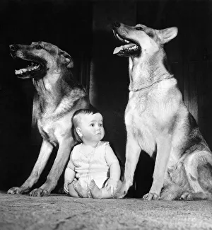 Animals-Children and dogs. March 1963 P006069 Animals-Children and dogs. March 1963 P006069