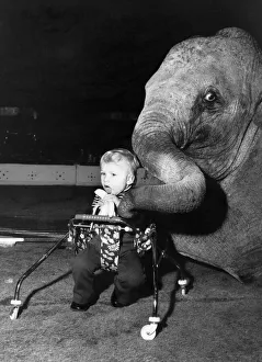 Animals - Children with Elephants. March 1975 P000476 Animals - Children with Elephants. March 1975 P000476