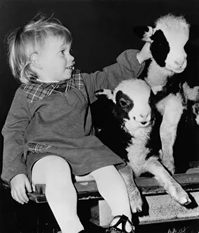 Animals - Children with Lambs. December 1983 P000500 Animals - Children with Lambs. December 1983 P000500