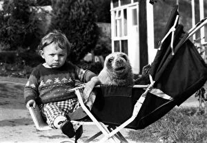 Images Dated 14th December 1970: Animals Children with seal. Baby Jason and little Hecate the seal sharing a pushchair at