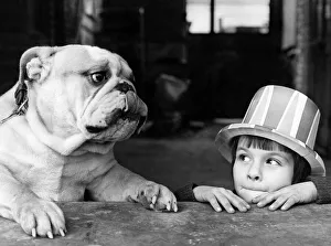 00054 Gallery: Animals - Dogs - Bulldogs children : Friendship. December 1977 P000577