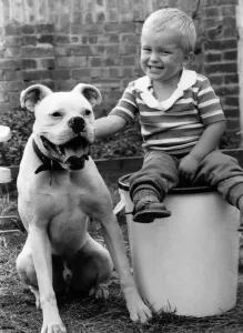 Animals - Dogs children friendship. August 1985 P000615 Animals - Dogs children friendship. August 1985 P000615