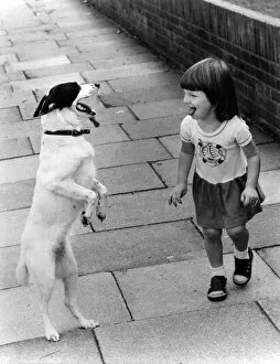 Images Dated 14th September 1983: Animals Dogs Clever: Ok, Lets Go: Lift those paws and poke out that tongue