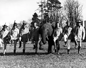 Animals - Elephants: Stepping out with no Trousers. The one with the short Animals - Elephants: Stepping out with no Trousers. The one with the short