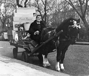 Images Dated 28th December 1972: Animals: Horses: Flowers being delivered by horse and cart. December 1972 P004986