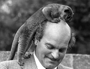 Animals Kinkajou Pedro the Kinkajou is on top of the world enjoying a little global Animals Kinkajou Pedro the Kinkajou is on top of the world enjoying a little global